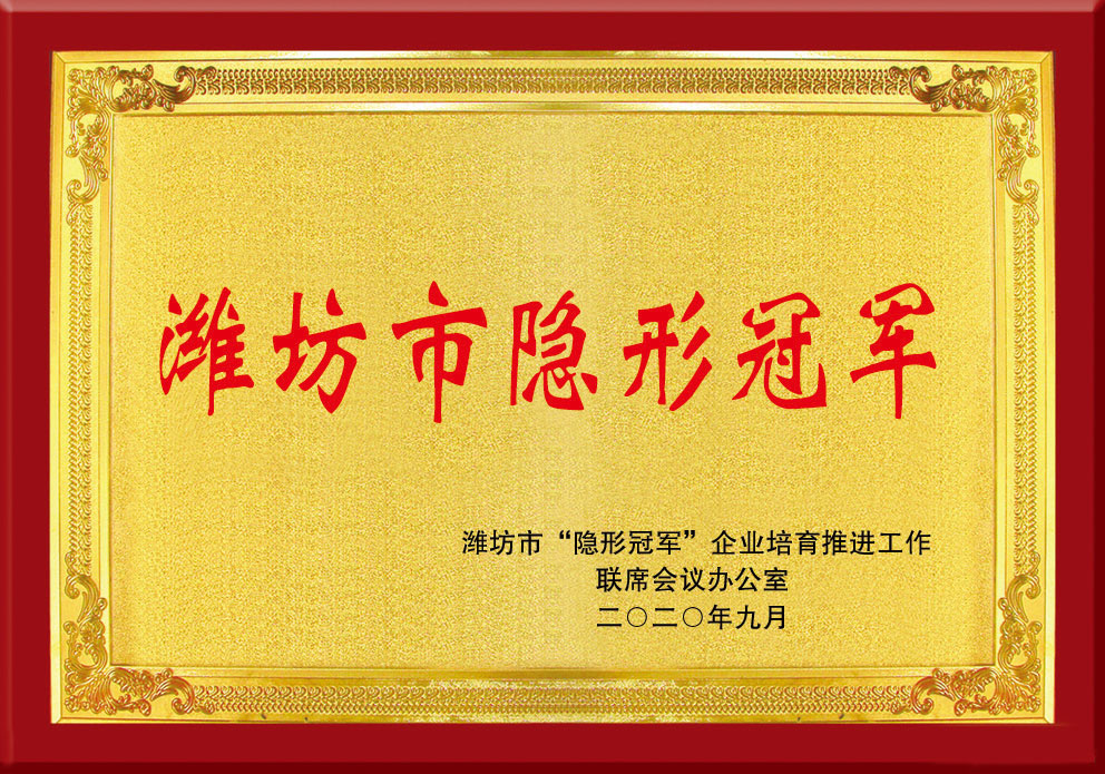 濰坊市隐形(xing)冠軍